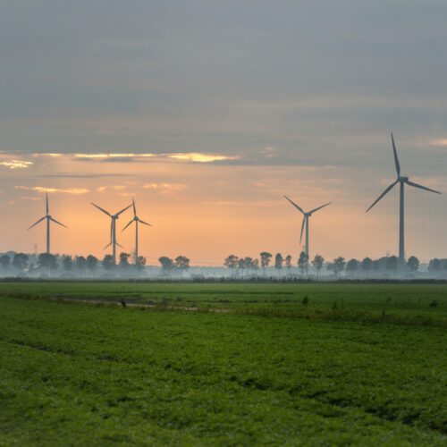 Windpark near Swifterband, Holland. dramatic sunset sky, with low sun.